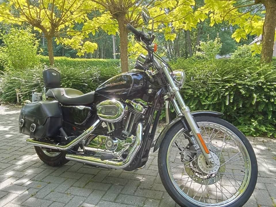 Harley Davidson XL 1200 C, Motos, Permis Moto A, Occasion, Chopper, 2 cylindres
