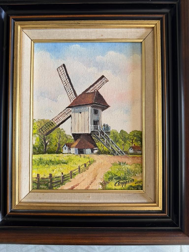 Mooi schilderwerkje op doek, Enlèvement