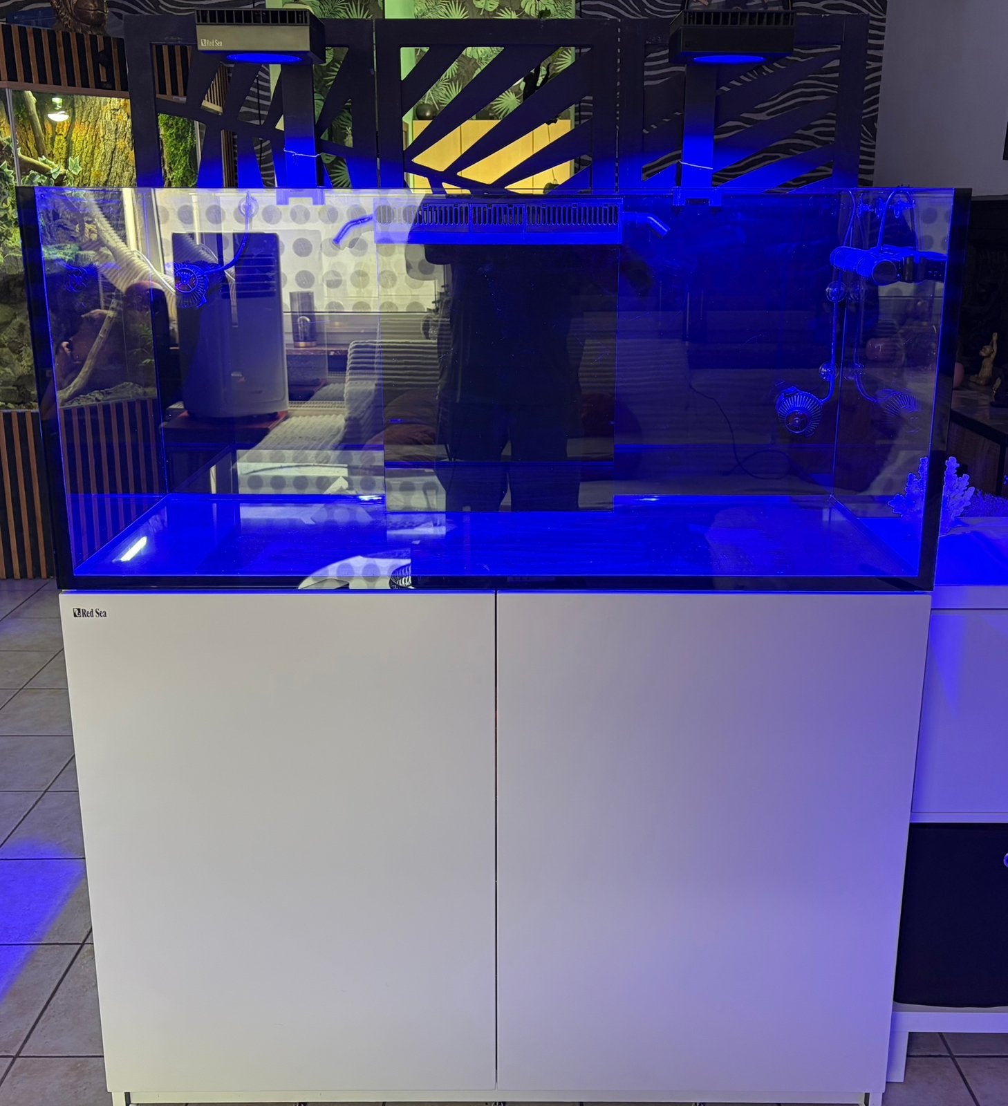 Aquarium marin, Animaux & Accessoires, Poissons | Aquariums & Accessoires, Utilisé, Pompe, Red Sea, Enlèvement