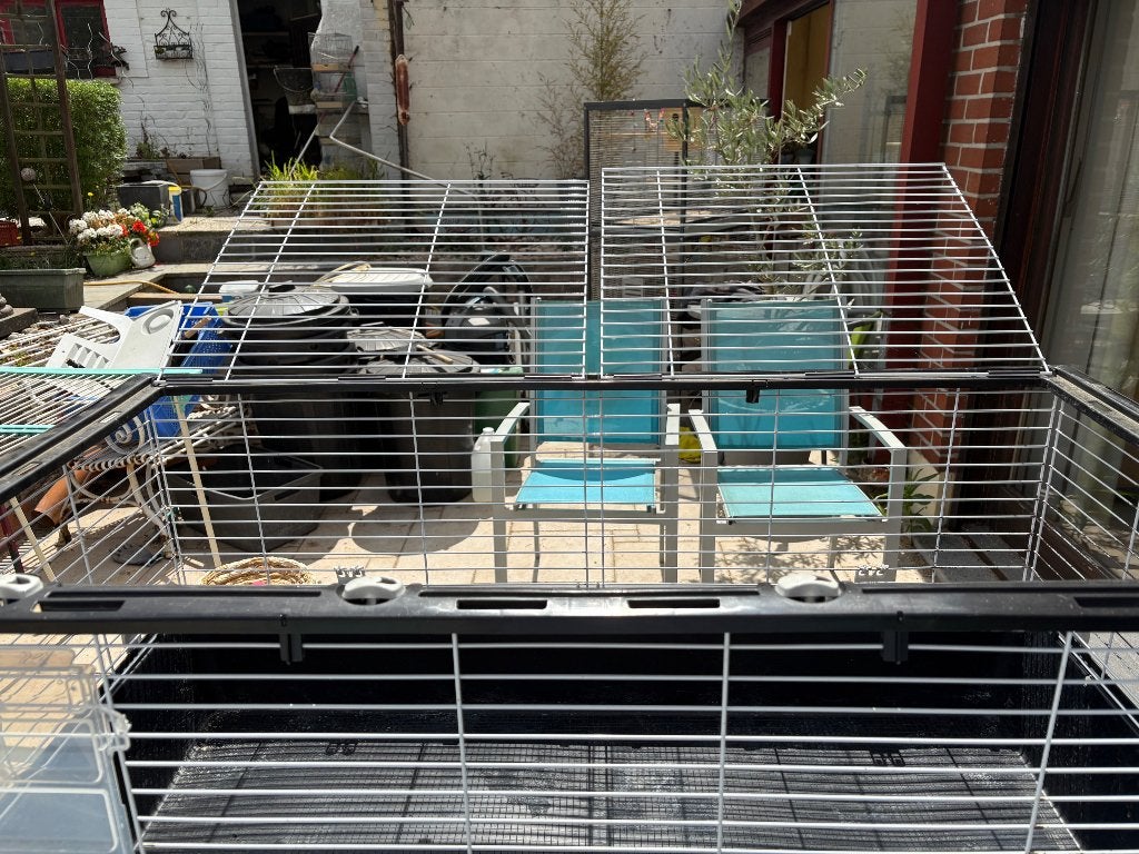 Cage Ferplast, Animaux & Accessoires, Enlèvement, Utilisé, Cage, Lapin