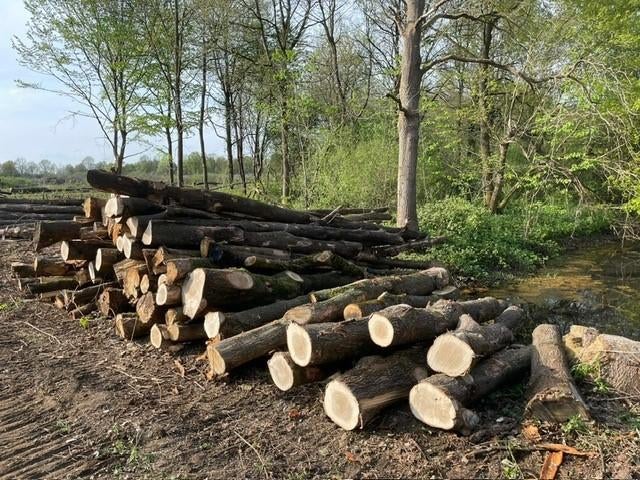 Eiken stammen te koop - ideaal voor brandhout, Ophalen of Verzenden, Eikenhout, Stammen