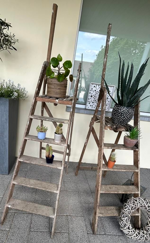 3 vintage ladders, Ophalen, Gebruikt
