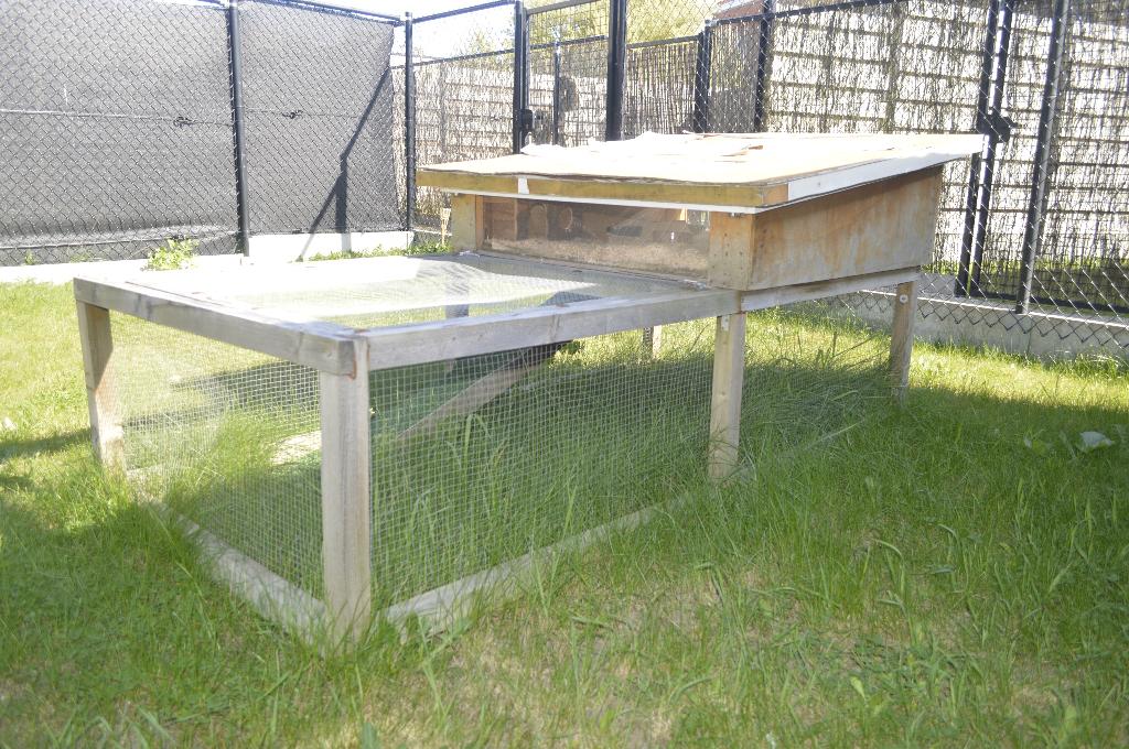 Cavia buitenverblijf, Ophalen, 90 cm of meer, Hok, Cavia