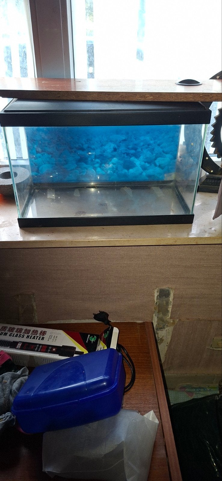60 liter aquarium, Dieren en Toebehoren, Ophalen