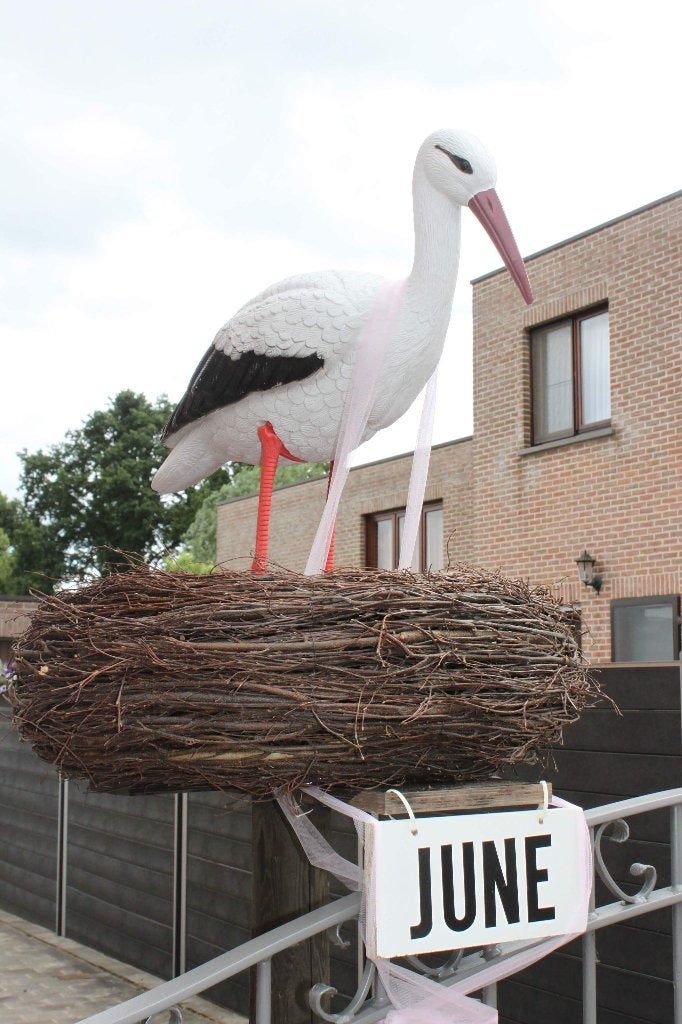 Ooievaar te huur voor geboorte, Ophalen, Zo goed als nieuw, Geboortebord