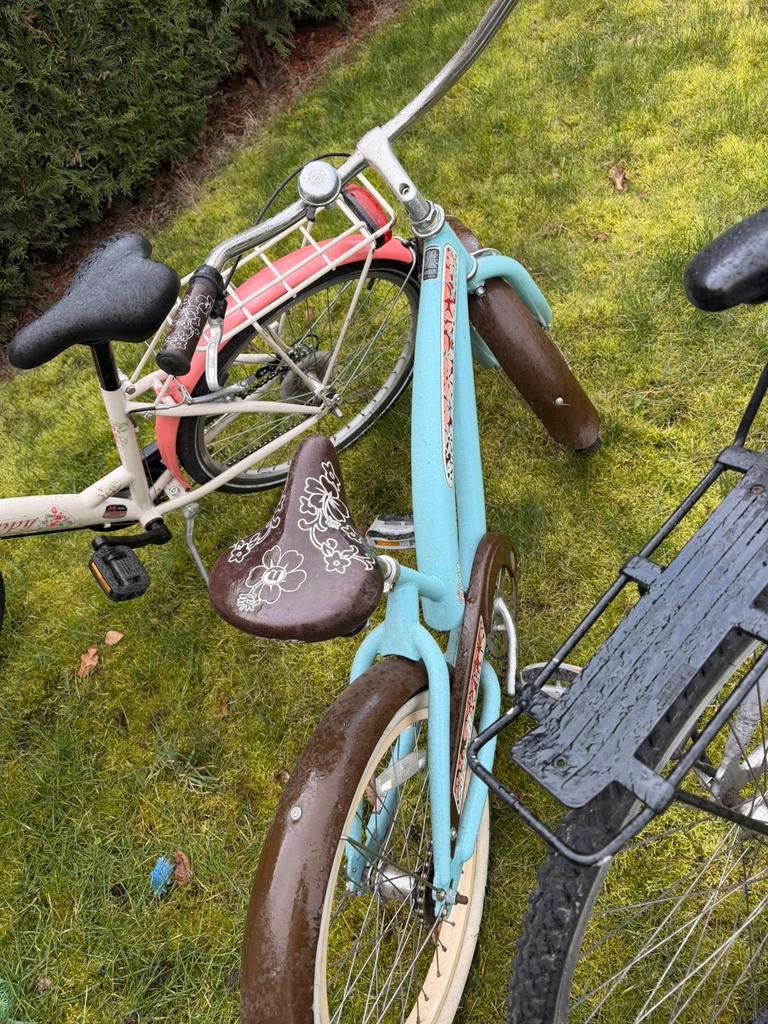 Nirve 20 inch, Fietsen en Brommers, Ophalen, Gebruikt