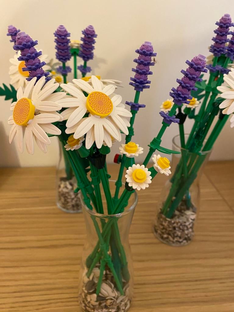 LEGO Botanicals Madeliefjes (11508), Ophalen, Zo goed als nieuw, Lego