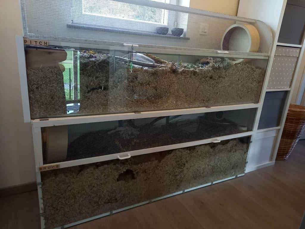 Habitats pour hamster ou gerbilles, Dieren en Toebehoren, Reptielen en Amfibieën | Toebehoren, Ophalen