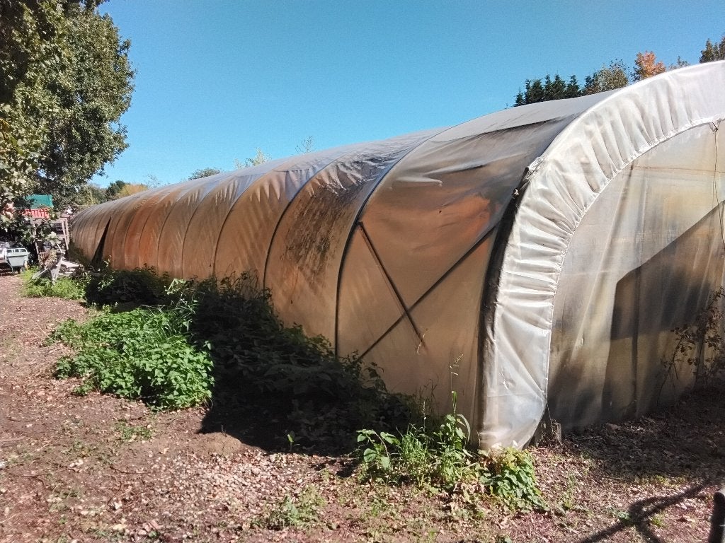 tunnel serre    te koop zelf    afbreken  ., Gebruikt, Folie, Kweekkas, Ophalen