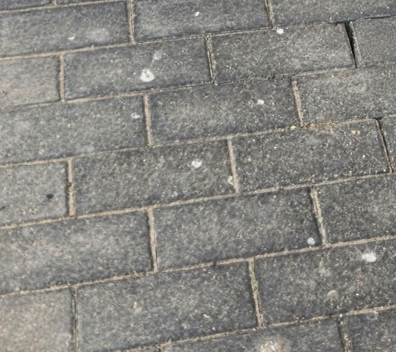 Recherche Paveur expérimenté