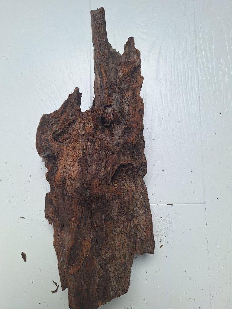 Aquarium/paludarium hout groot, Ophalen, Gebruikt, Tak, Plant, Rots of Steen