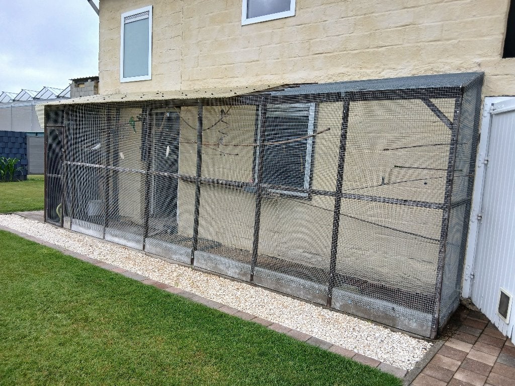 Volière, Dieren en Toebehoren, Ophalen, Gebruikt, Hout, Volière