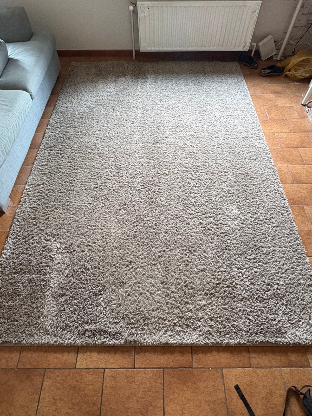 Grand tapis gris clair, Enlèvement, Comme neuf