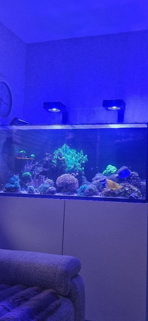 Zee aqarium, Ophalen, Gevuld zeewateraquarium, Oase, Zo goed als nieuw
