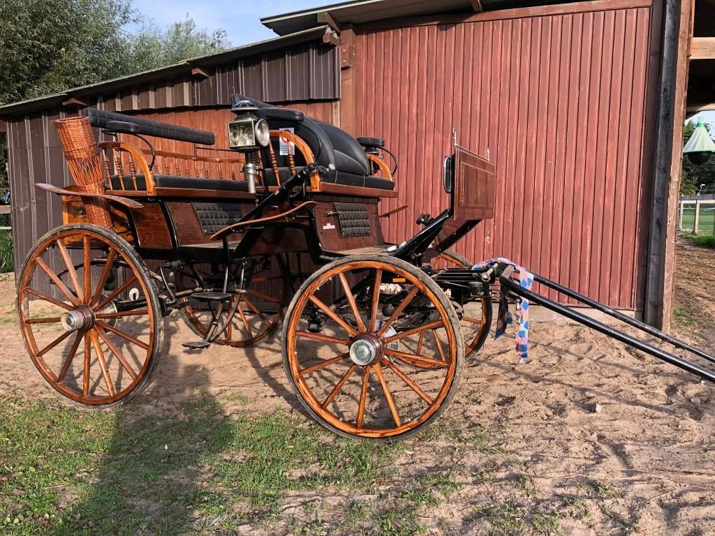 Klassieke koets, Dieren en Toebehoren, Gebruikt, Wagonette, Paard