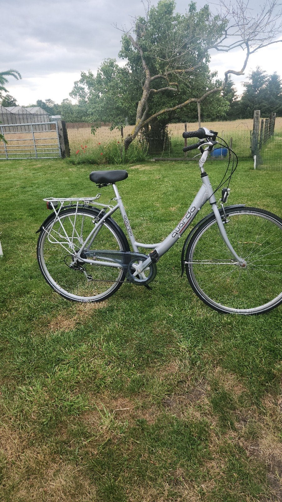 Dames fiets, Ophalen of Verzenden