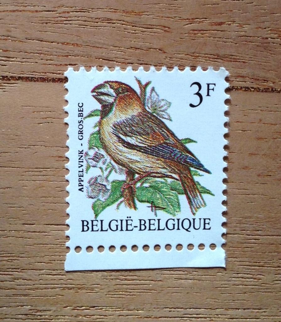 POSTZEGEL BELGIË GROSBEAK CALL VINK BUNTING, Frankeerzegel, Ophalen of Verzenden, Postfris, Overig