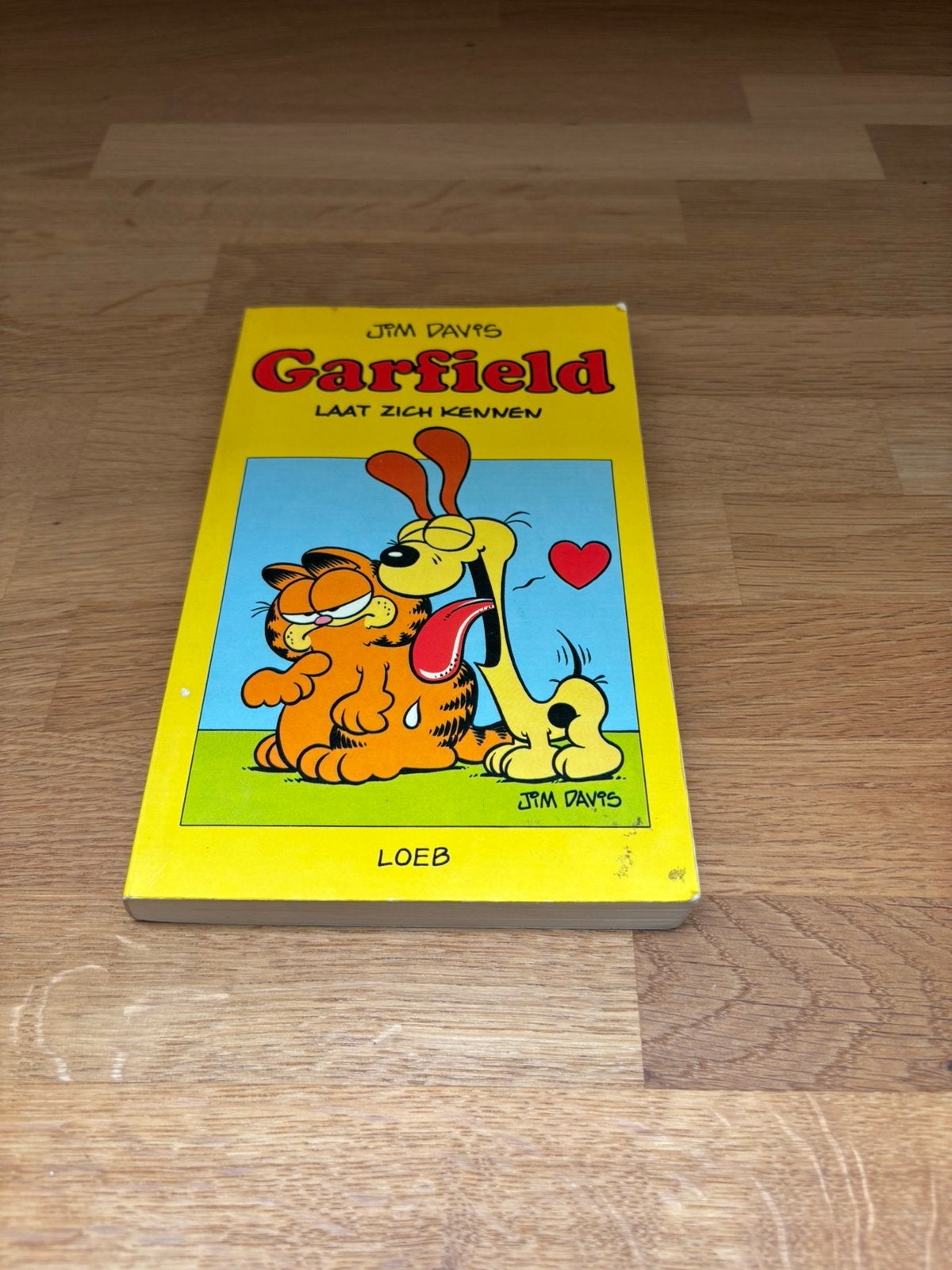 Garfield boek, Eén stripboek, Ophalen of Verzenden, Zo goed als nieuw