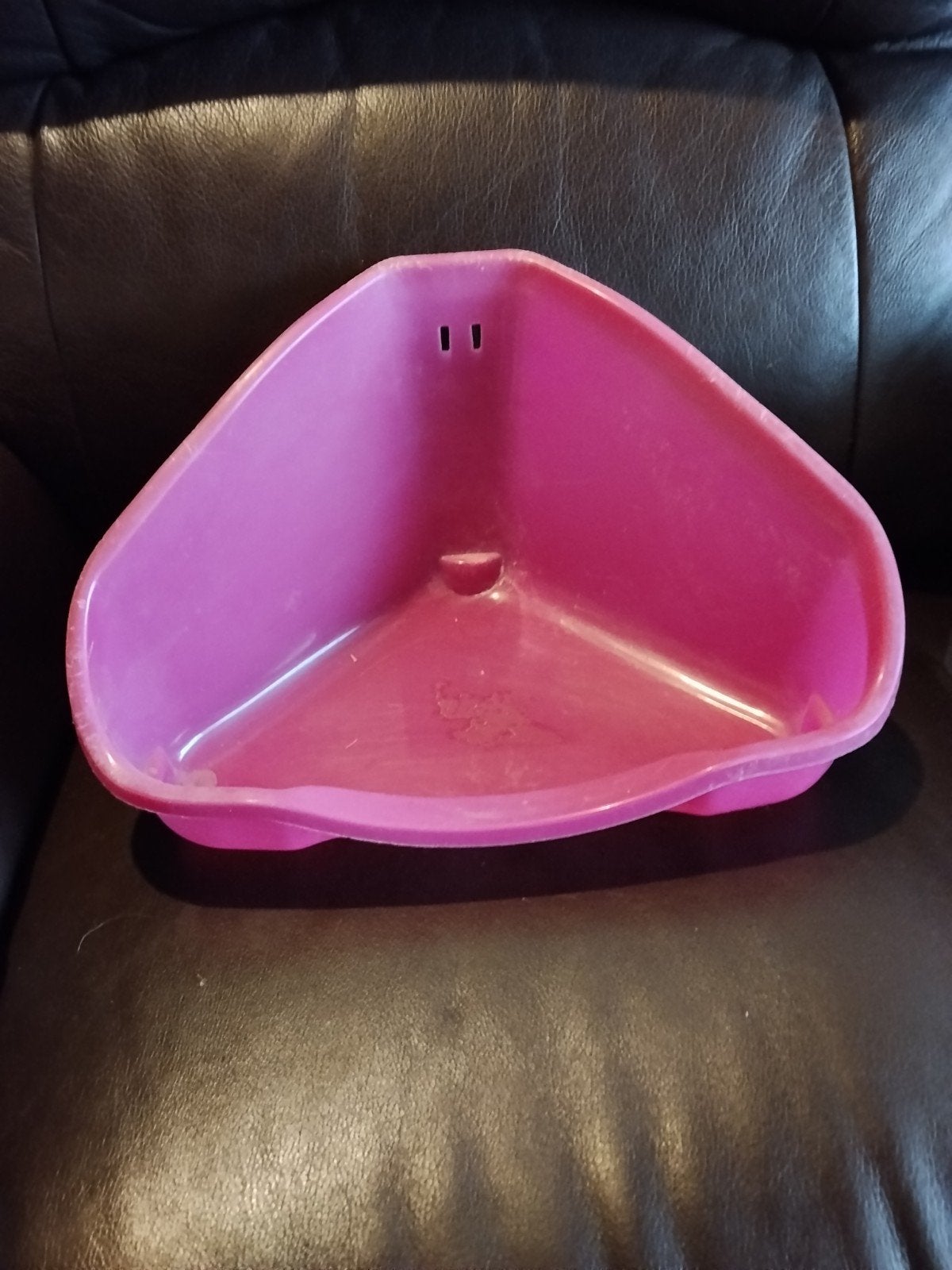 konijntjes toilet, Dieren en Toebehoren, Knaagdieren en Konijnen | Toebehoren, Ophalen