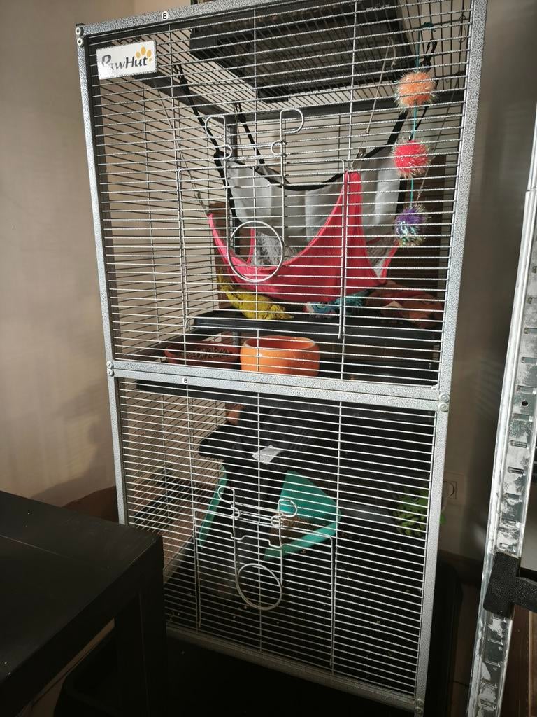 A donné Cage a Furet plus parc