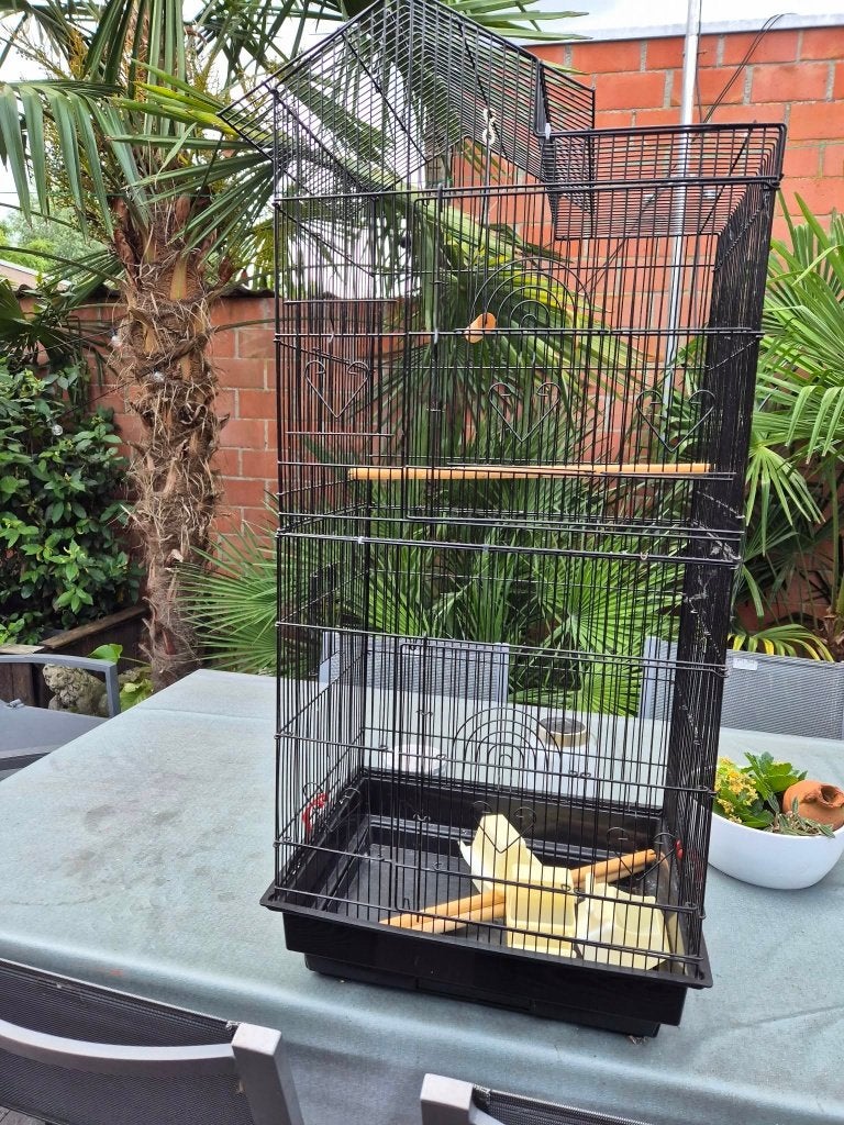 grote vogelkooi, Enlèvement, Comme neuf, Aluminium, Cage à oiseaux