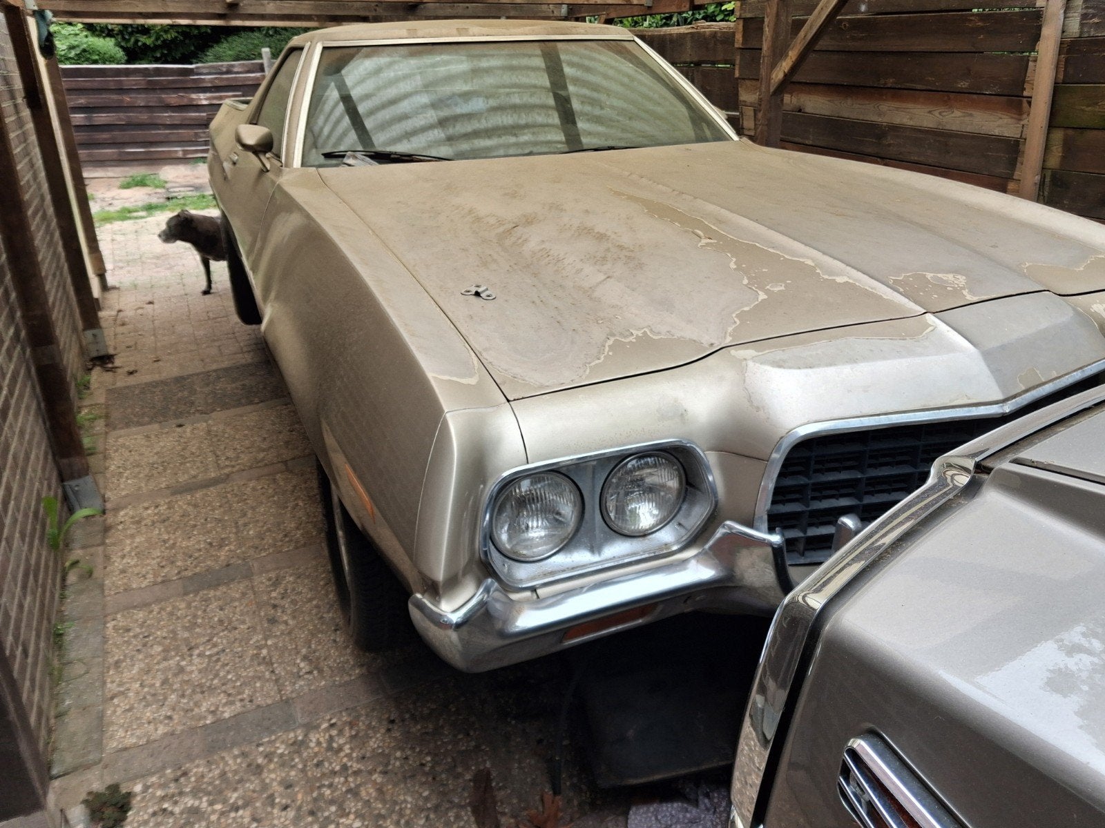 ford ranchero bj72, foto 4