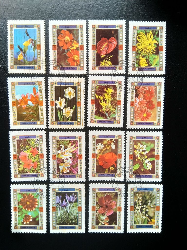 Fleurs, Umm Al Qiwain, Envoi, Affranchi, Animal et Nature