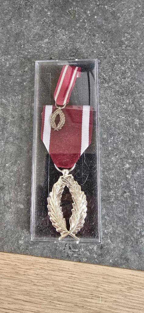 Palmes d'argent de l'ordre de la Couronne. Grande et Petite., Enlèvement, Armée de terre, Ruban, Médaille ou Ailes