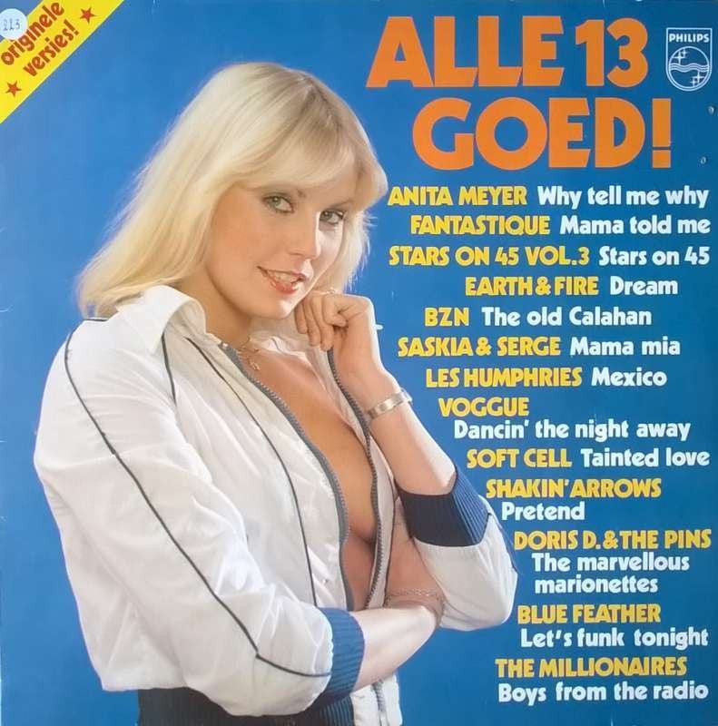 LP Alle 13 goed, CD & DVD, Vinyles | Compilations, Comme neuf, Pop, LP, Housse de protection extérieure, Compilation, 12 pouces