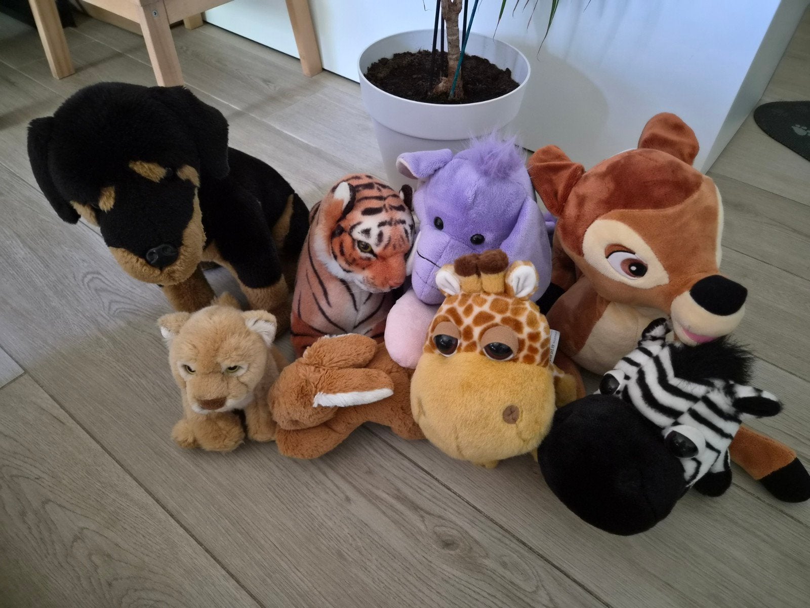 Knuffels, Kinderen en Baby's, Speelgoed | Knuffels en Pluche, Ophalen