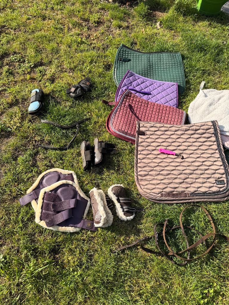 Paardenspullen - gereserveerd, Dieren en Toebehoren, Ophalen, Gebruikt, BR