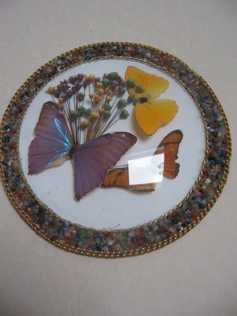 2 encadrements artisanaux ornés de véritables papillons, Enlèvement ou Envoi, Comme neuf, Autres, Autres types