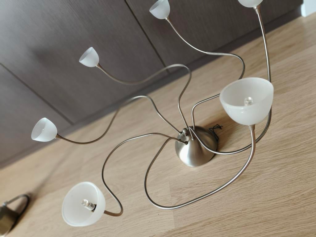 Plafondluster + hangluster inox, Ophalen
