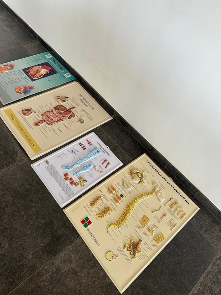 Plastic fishes/ posters geneeskunde, Boeken, Ophalen, Zo goed als nieuw
