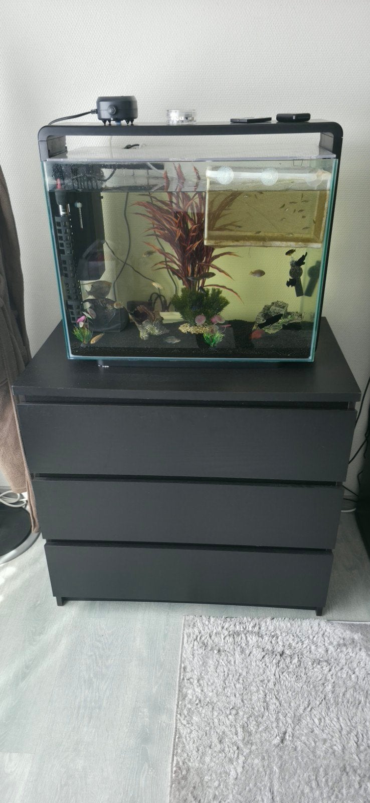 aquarium 80liter  met kast, Enlèvement