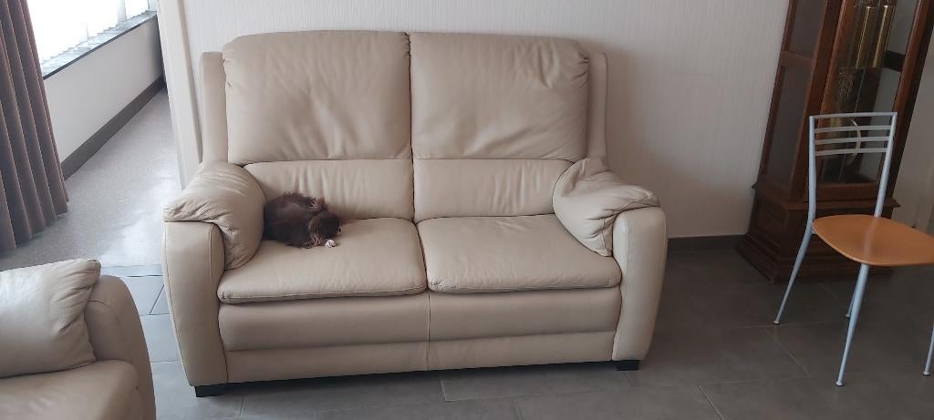 Salon zetel, Ophalen, Gebruikt, Leer