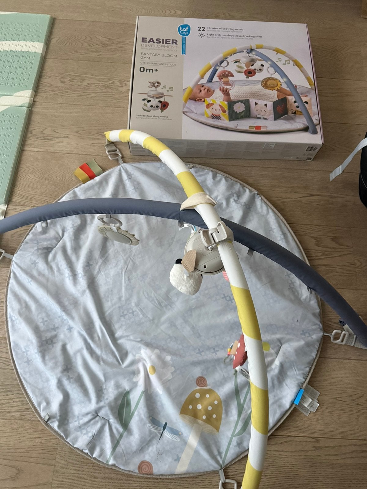 Speeltapijt Fantasy Bloom van Taf Toys, Kinderen en Baby's, Ophalen, Zo goed als nieuw