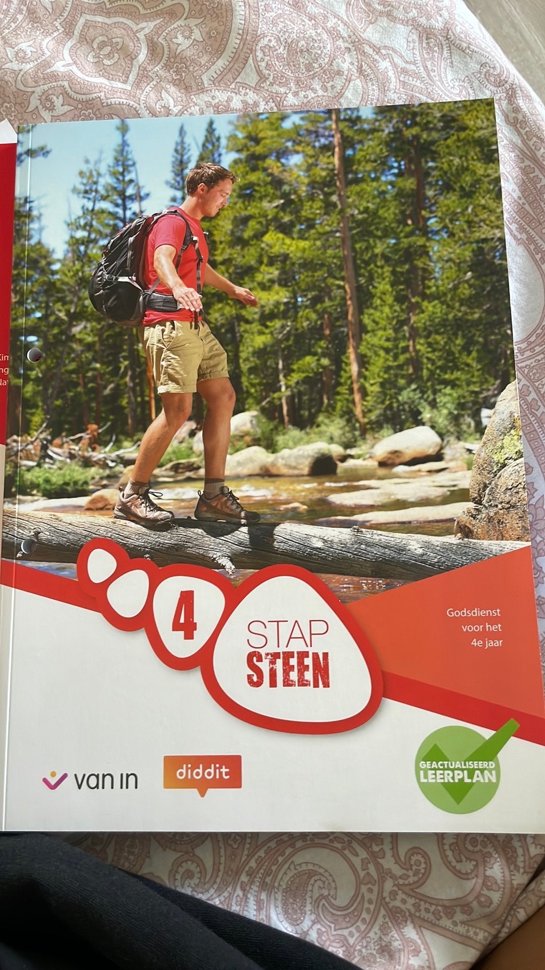Stapsteen 4 OH - leerwerkboek incl. diddit, Boeken, Ophalen of Verzenden, Nederlands