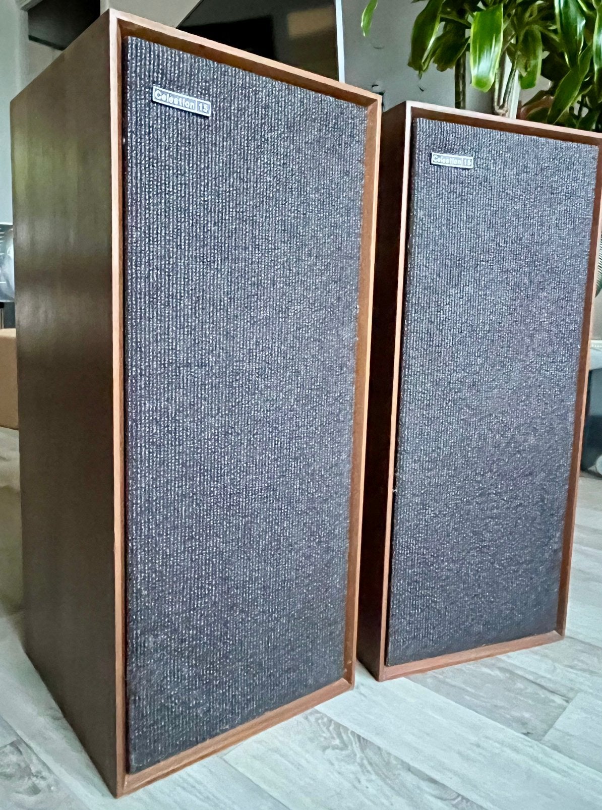 Ceslestion ditton 15, Enlèvement ou Envoi, Utilisé, Enceinte d'étagère