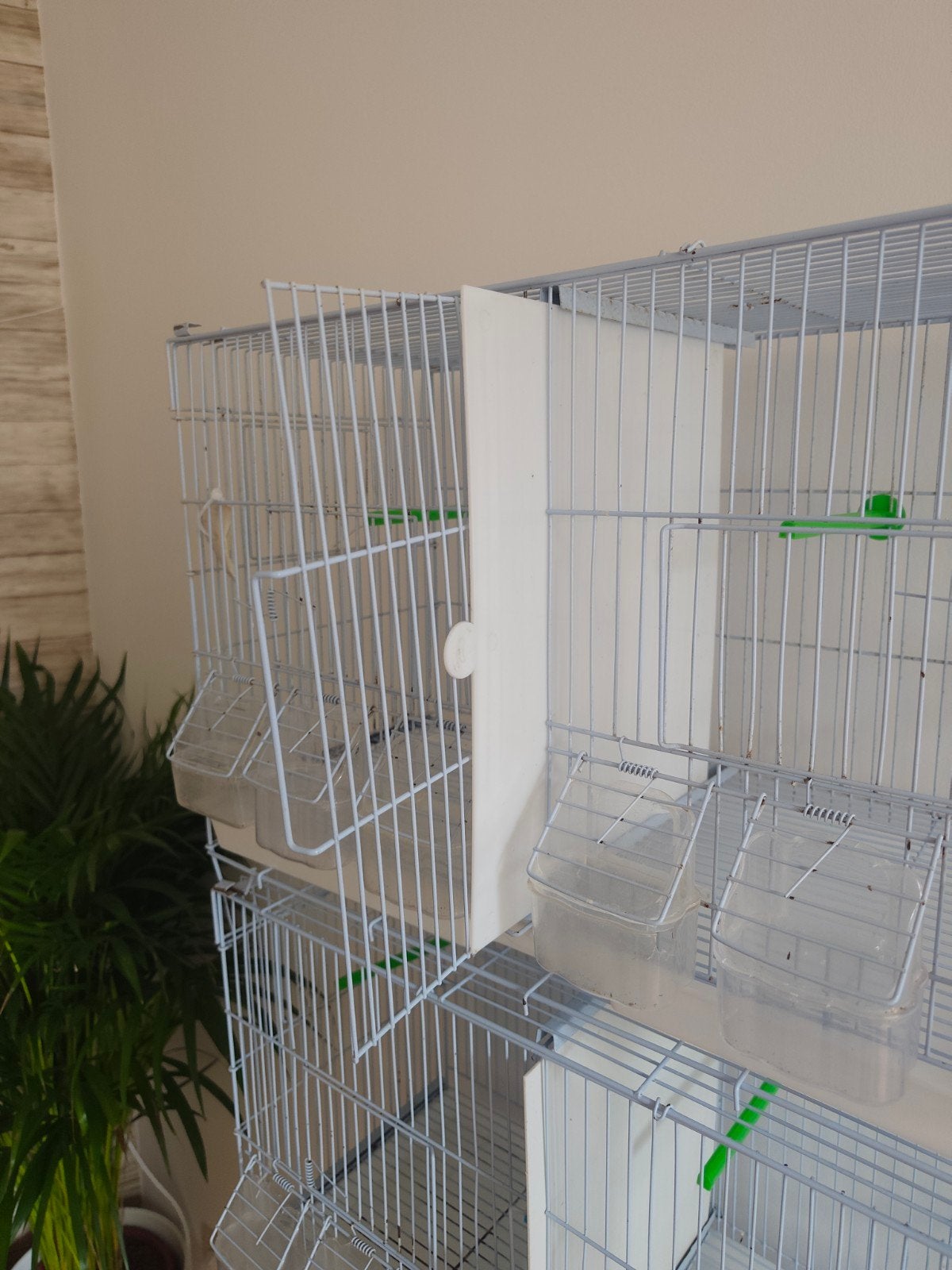 4 cage d'élevage 120€ pour les 4, Ophalen of Verzenden
