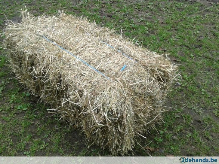 Te koop kleine hooi en strobalen prima kwaliteit, Enlèvement