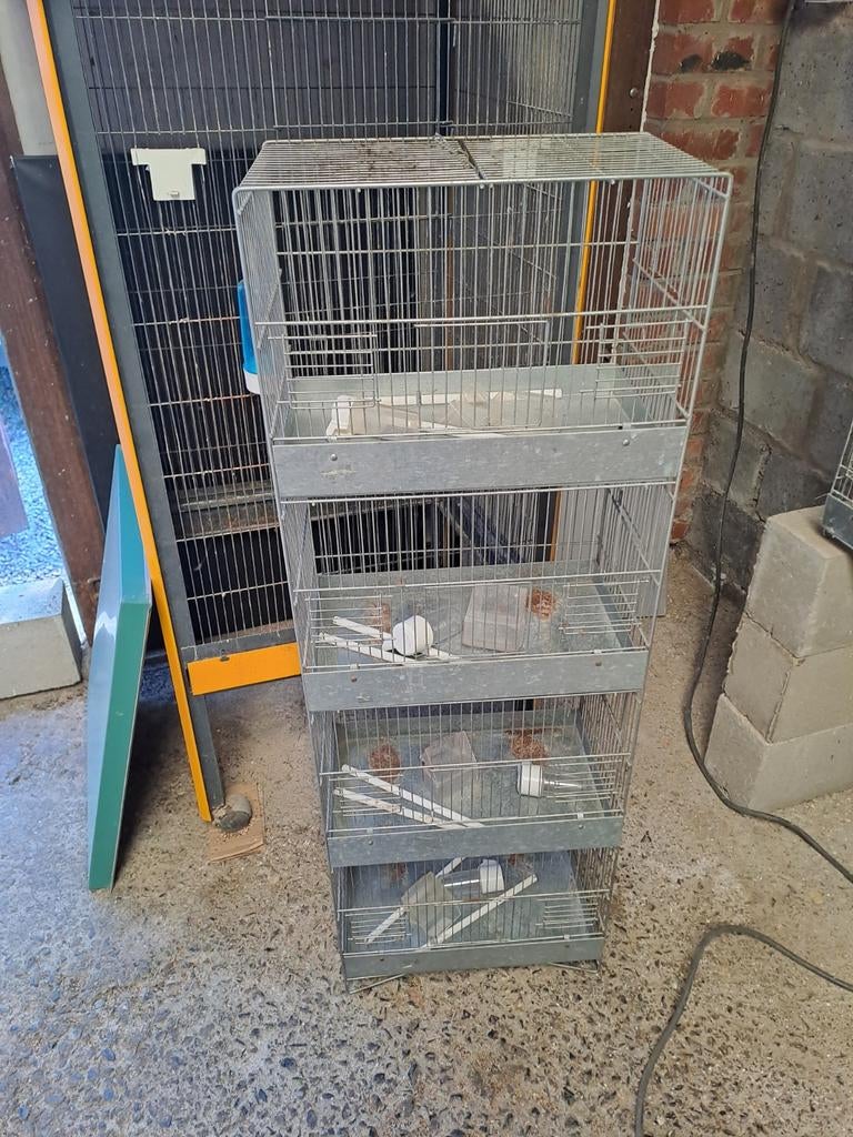 Bloc de 4 cages pour oiseaux, Enlèvement