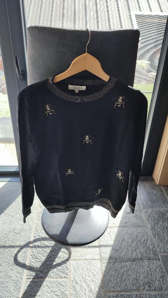 Zwarte trui met glitters en bijtjes, Zwart, Maat 42/44 (L), Gedragen, Ophalen