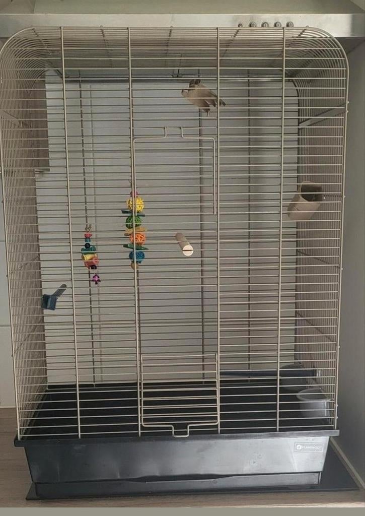 Vogel kooi, Dieren en Toebehoren, Ophalen