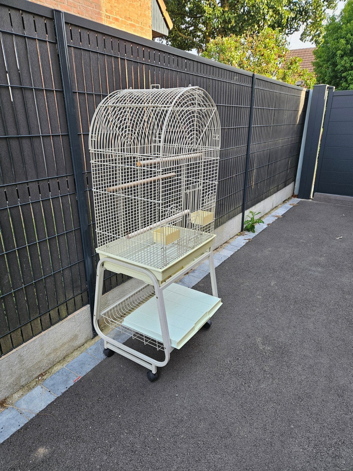 cage perroquet, Animaux & Accessoires, Enlèvement