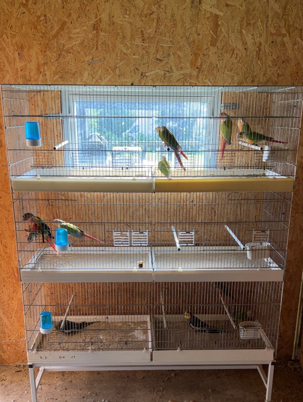 Cages Domus, Ophalen, Zo goed als nieuw