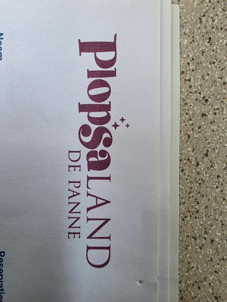 Plopsaland de panne family ticket + ticket voor parking, Tickets en Kaartjes, Recreatie | Pretparken en Attractieparken