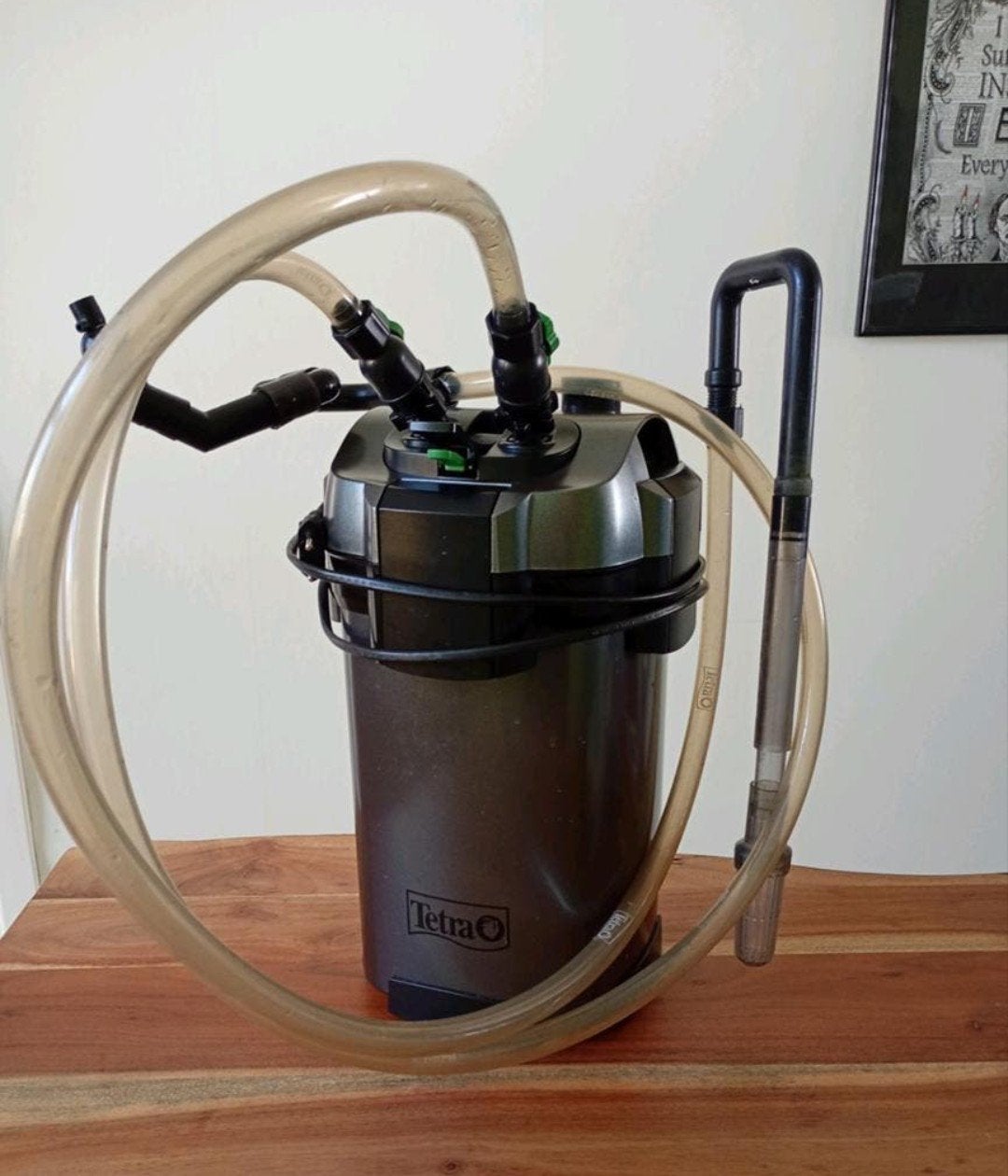 Tetra EX1200 Plus externe filter complete set, Dieren en Toebehoren, Ophalen, Inclusief toebehoren, Zo goed als nieuw, Tetra