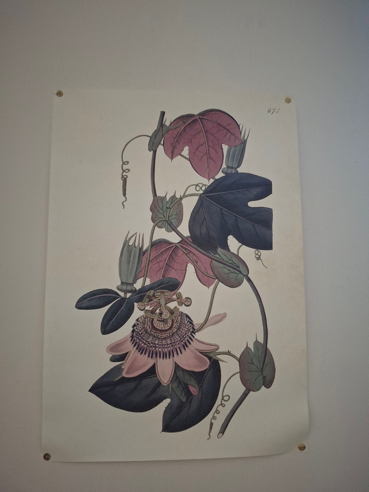 Poster herbier, Enlèvement