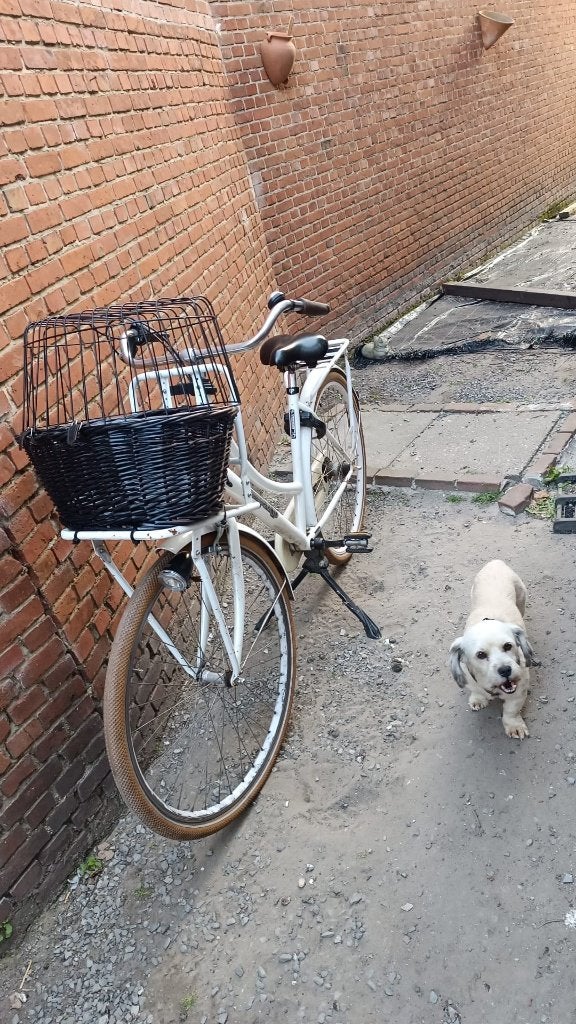 fiets, Ophalen, Zo goed als nieuw, Terugtraprem, Versnellingen